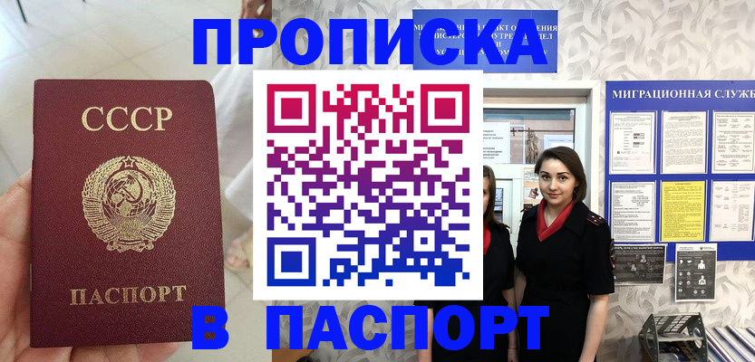 прописка 2025 в Алексеевке